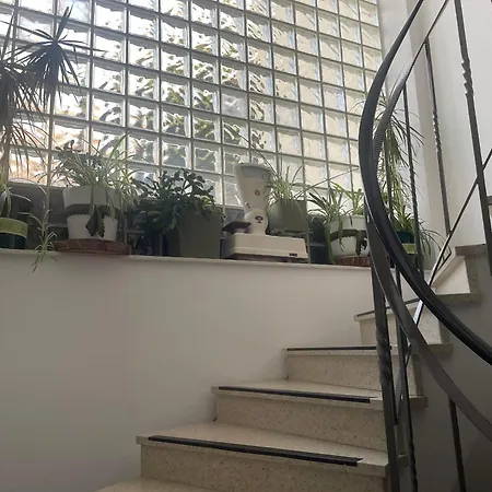 Apartment Napoleon *